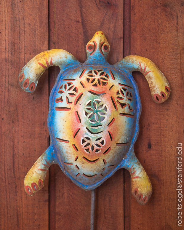 turtle sculpture